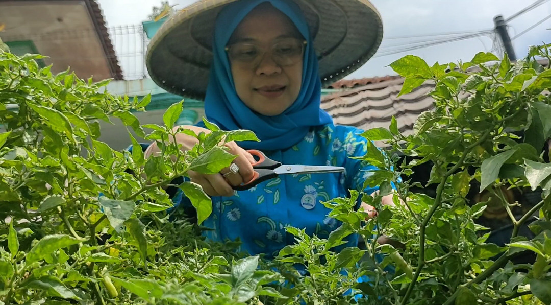 Program BRInita Sukses Jadikan Kelurahan Padjajaran Bandung Jadi Percontohan Urban Farming