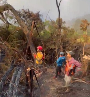 Relawan Gunung Gede Galang Donasi untuk Peralatan dan Logistik