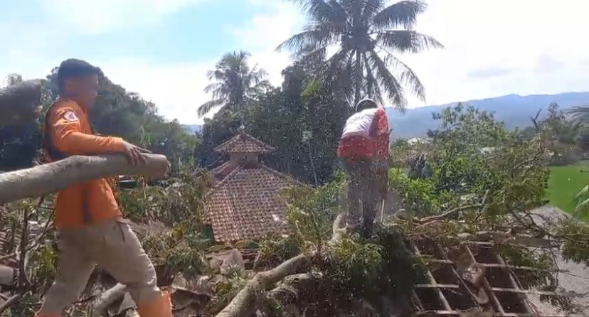 Pohon Tumbang Timpa Dua Rumah di Cibeber Cianjur