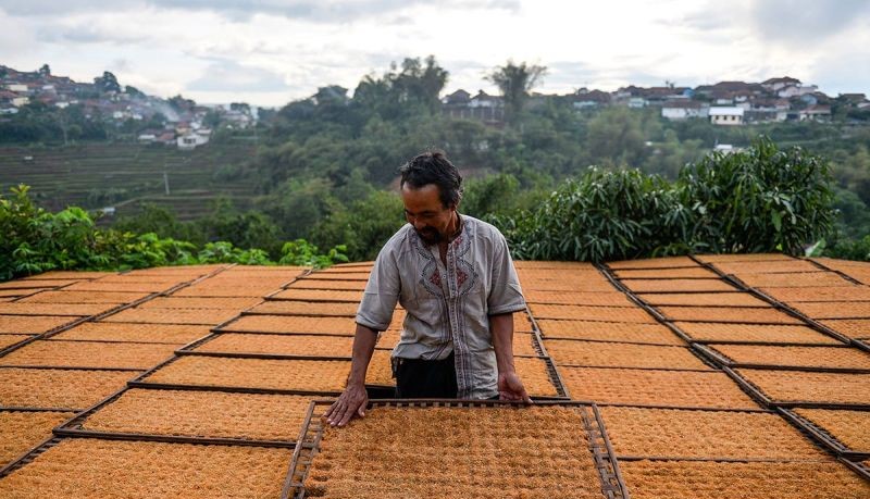 BPS Sebut Penyesuaian Tarif Tembakau Pengaruhi Inflasi Rokok