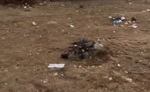 Sampah dan Bekas Api Unggun Cemari Alun-alun Suryakencana Gunung Gede