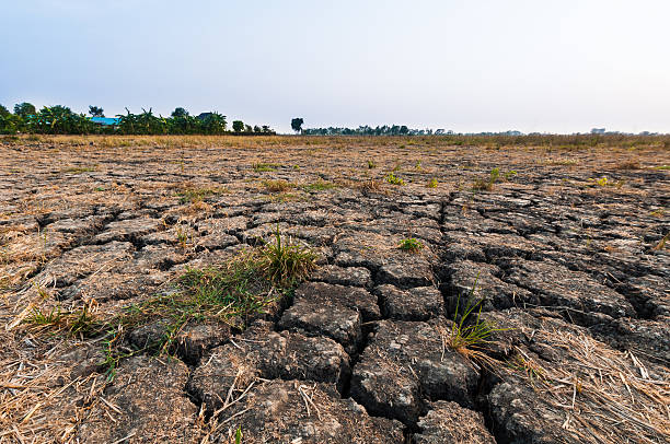 Pemkab Cianjur Siapkan Irigasi dan Sarana Pertanian, Antisipasi Hadapi Musim Kemarau