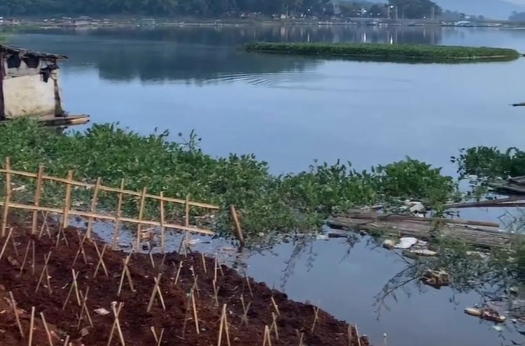 Air Waduk Cirata Menyusut, Petani Ikan Cianjur Merugi hingga Rp60 Juta