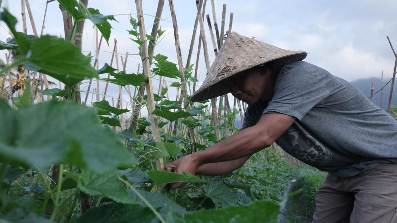 Mengenal Desa Angseri, Desa BRILiaN dengan Tata Kelola Terbaik