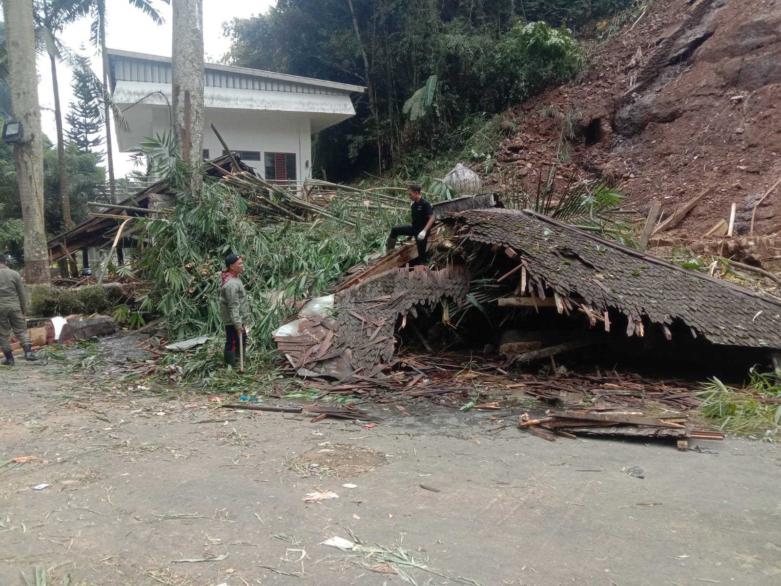 Tingginya Intensitas Hujan, Akibatkan Banjir, Longsor dan Pohon Tumbang di Cianjur