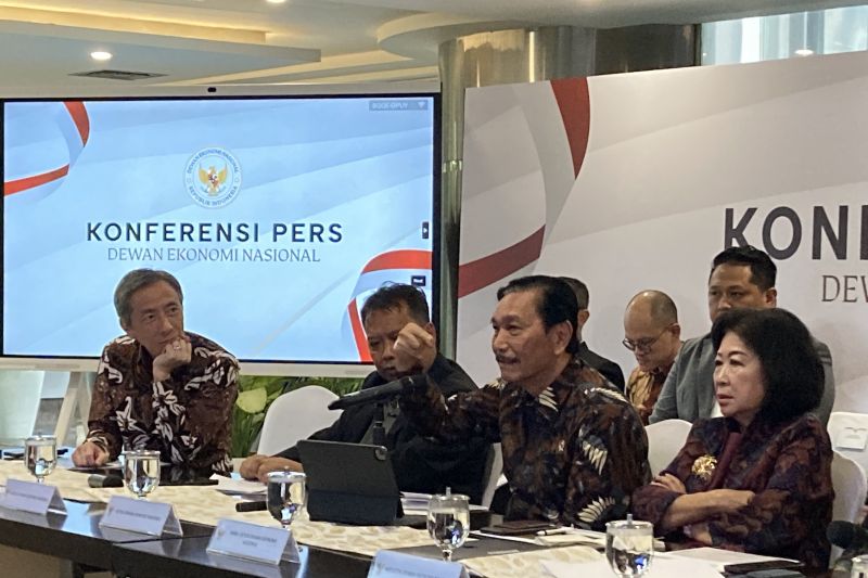 Kepatuhan Pajak RI Rendah, Luhut Harap Coretax Jadi Solusi