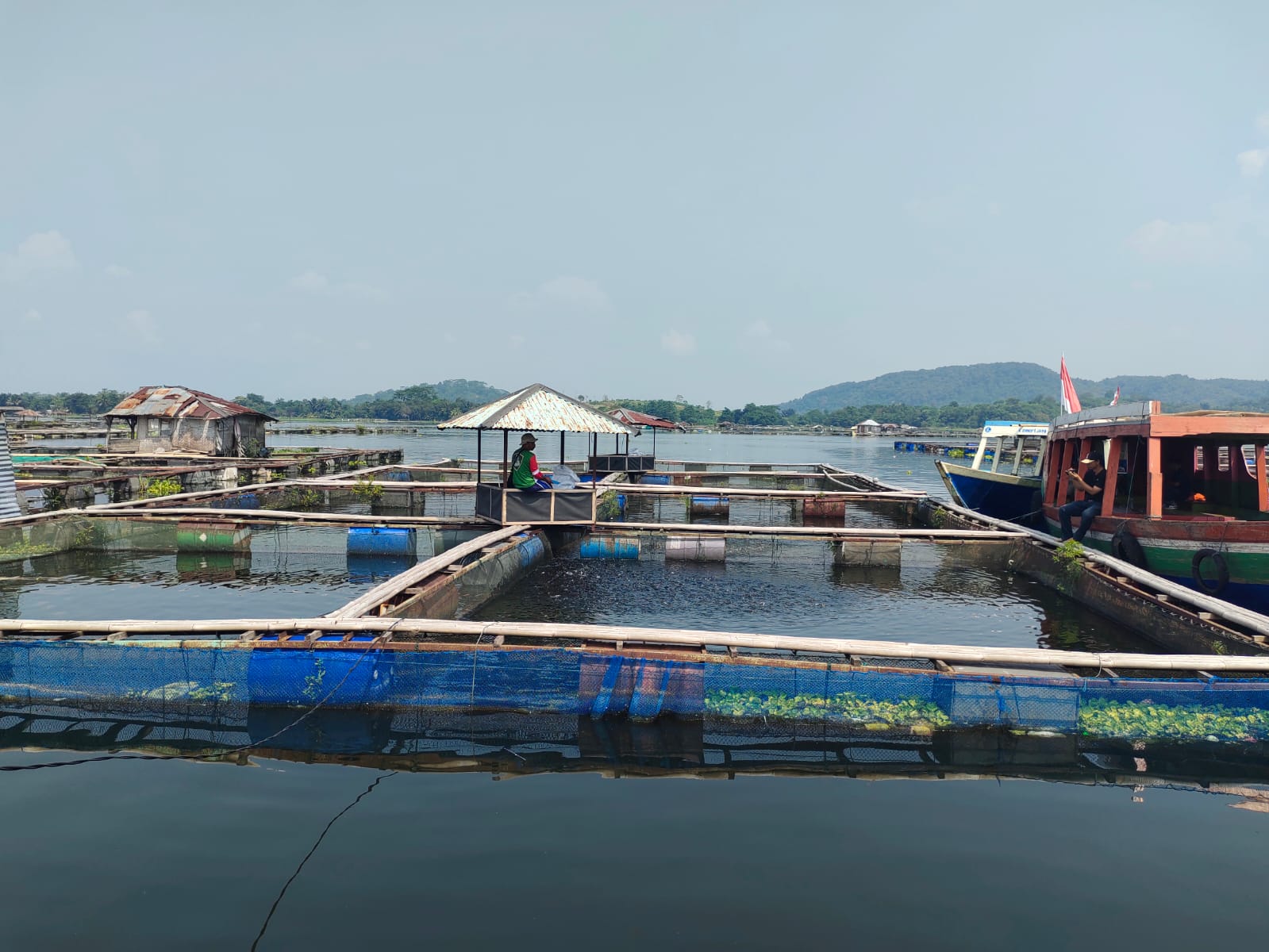 Petani Ikan Waduk Cirata Tuntut Menteri KKP Cabut Pernyataan Terkait Kandungan Merkuri