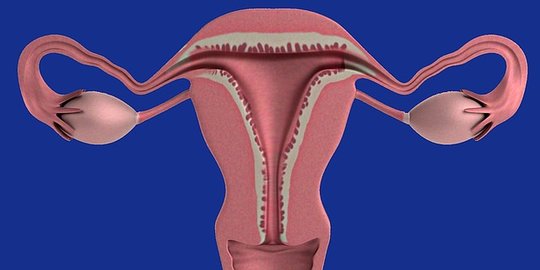 Dokter: Kanker Serviks jadi Penyebab Utama Kematian pada Wanita