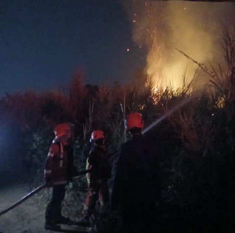 Dua Bulan, Karhutla Terjang 13 Kecamatan di Cianjur