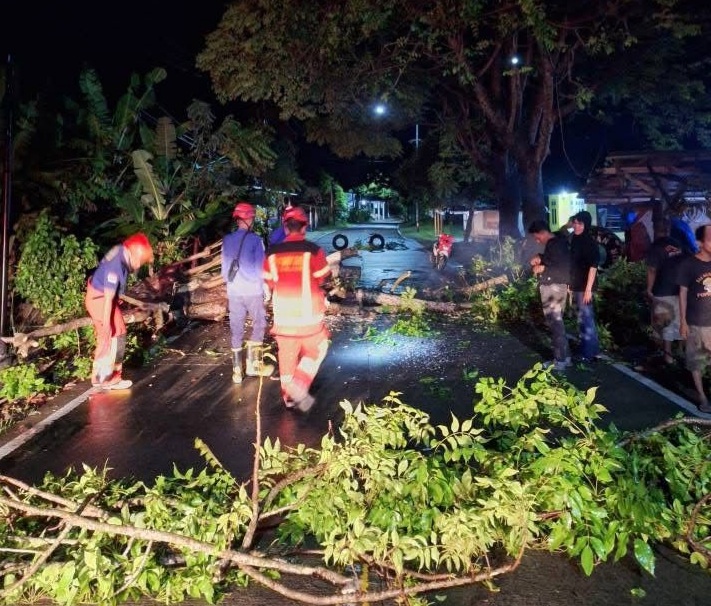 Jalur Cidaun - Sindangbarang Sempat Tertutup Pohon Tumbang, Kini Sudah Dapat Dilalui