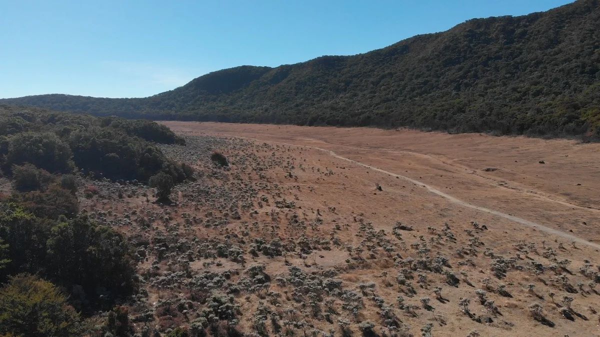 Sumber Mata Air Alun-alun Suryakencana Gunung Gede Pangrango Bakal Dipagar