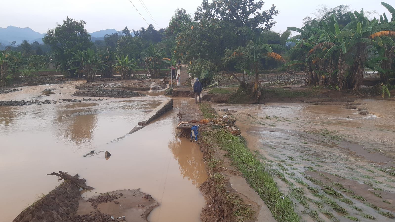 Air Sungai Meluap, Jembatan Antar Kampung di Cibeber Cianjur Terputus