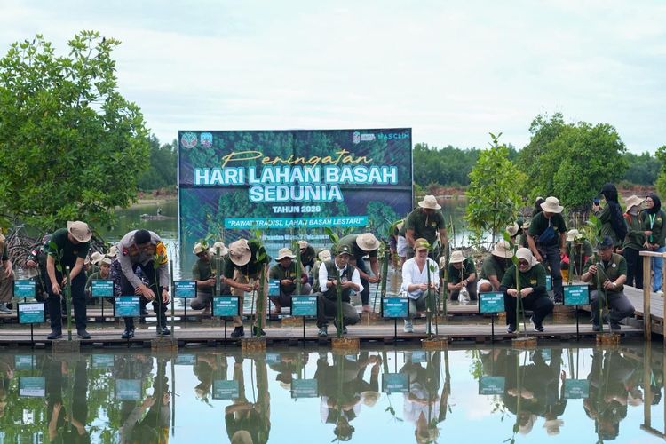 Menhut Tekankan Peran Mangrove bagi Ekologi dan Ekonomi Pesisir