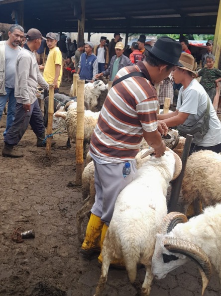 Pasar Hewan Cianjur Mulai Dipadati Konsumen Jelang Iduladha