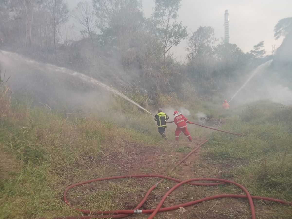 Karhutla Landa Empat Titik di Kabupaten Cianjur, Damkar: Akibat Warga Membakar Ilalang