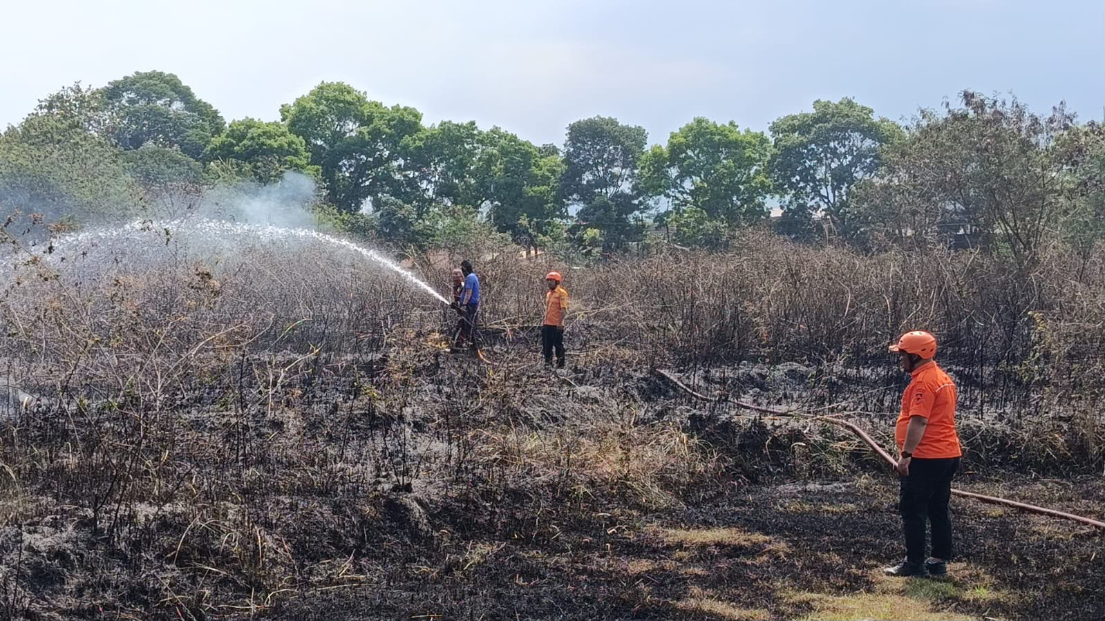 BPBD Catat 59 Kejadian Karhutla di Cianjur, 39,89 Hektare Lahan Hangus Terbakar