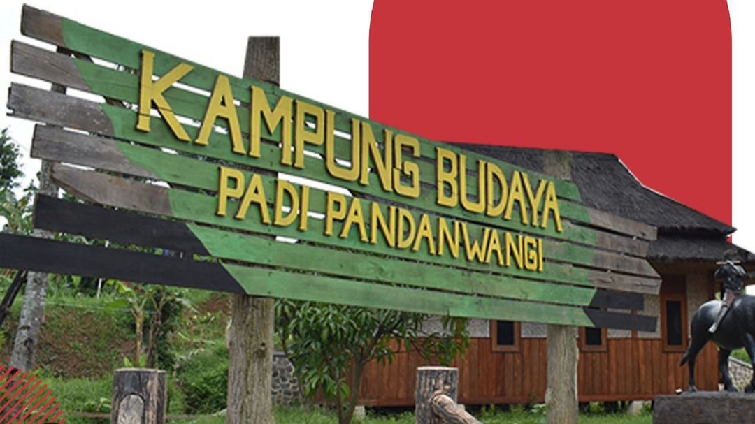 Disbudpar Cianjur Sebut Kunjungan Wisatawan ke Kampung Budaya Padi Pandanwangi Sepi