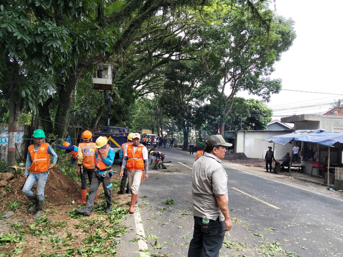 DLH Cianjur Pangkas Pohon di Sepanjang Jalan Raya Bandung 
