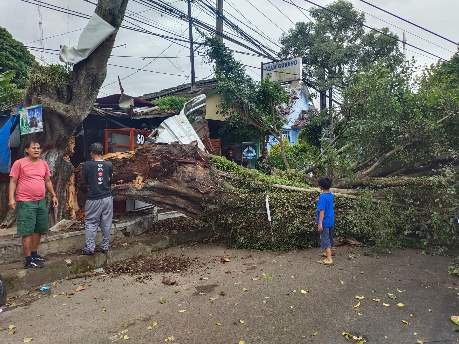 Pohon Tumbang di Jalan Siliwangi Cianjur dan Menimpa Mobil