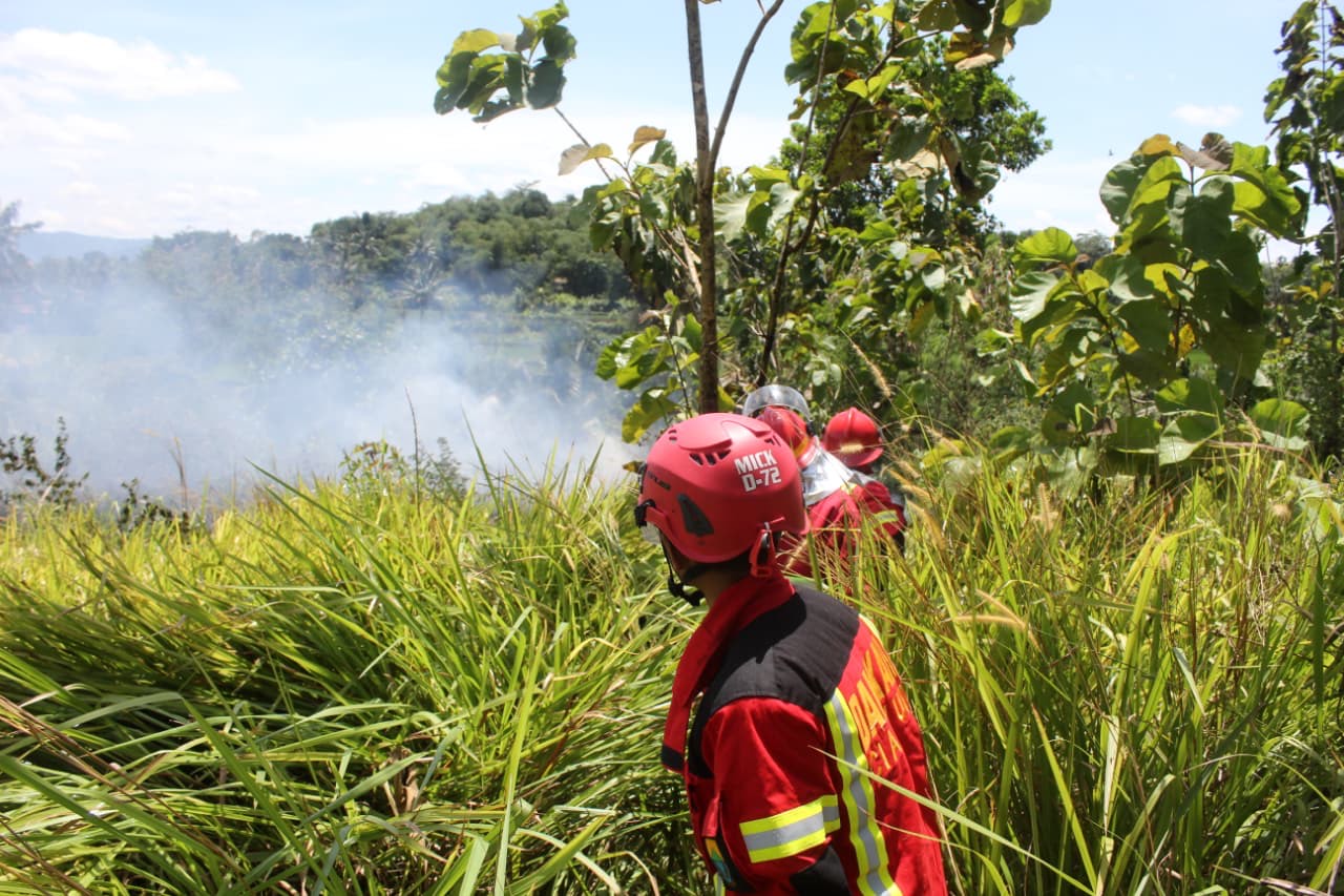 Lahan Semak Belukar di Cilaku Cianjur Terbakar
