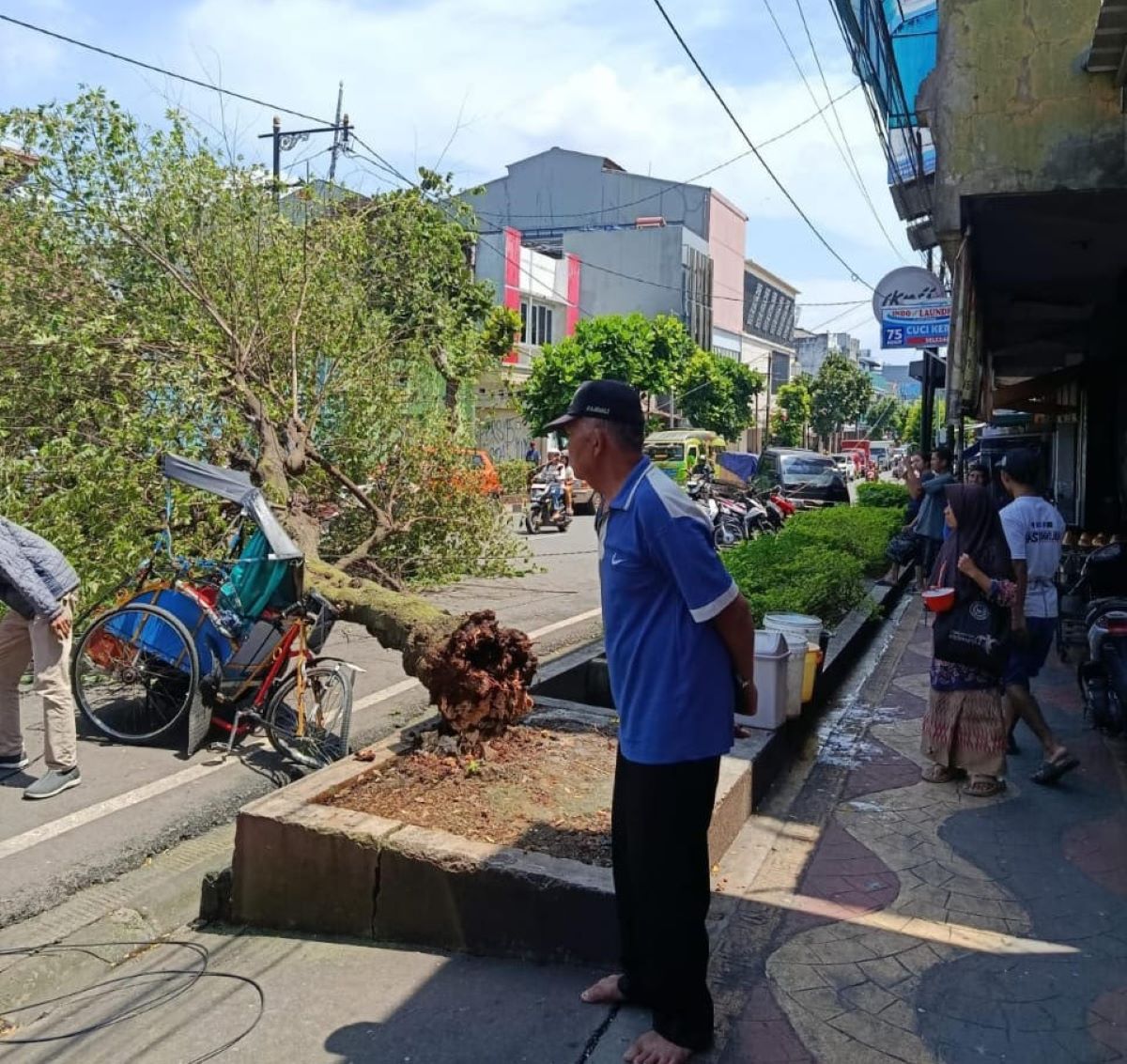Pohon Tumbang Timpa Becak dan Sepeda Motor di Solokpandan Cianjur