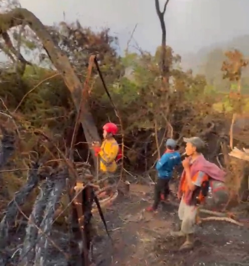 Relawan Ungkap Luas Kebakaran Gunung Gede