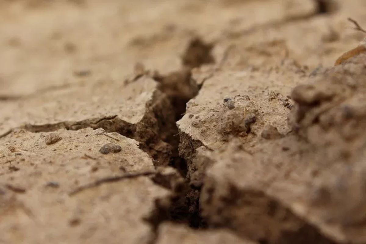 Pemkab Cianjur Tetapkan Status Siaga Bencana di 32 Kecamatan