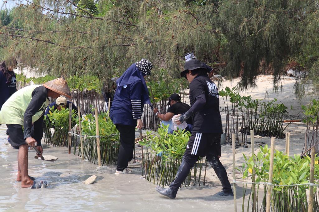 Dukung Upaya Pemerintah Bebas Emisi Karbon, BRI Kembali Tanam Bibit Mangrove di Pulau Tidung