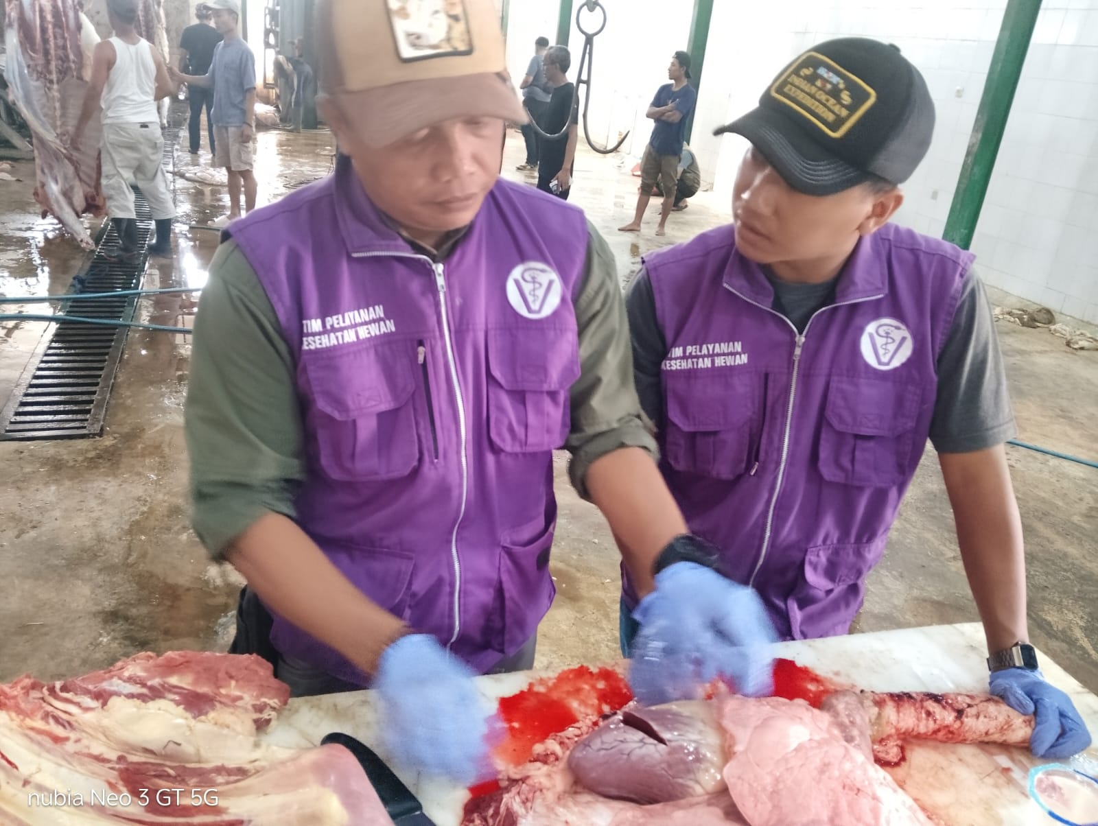 DPKHP Cianjur Pastikan Daging Kurban Aman dan Layak Dikonsumsi