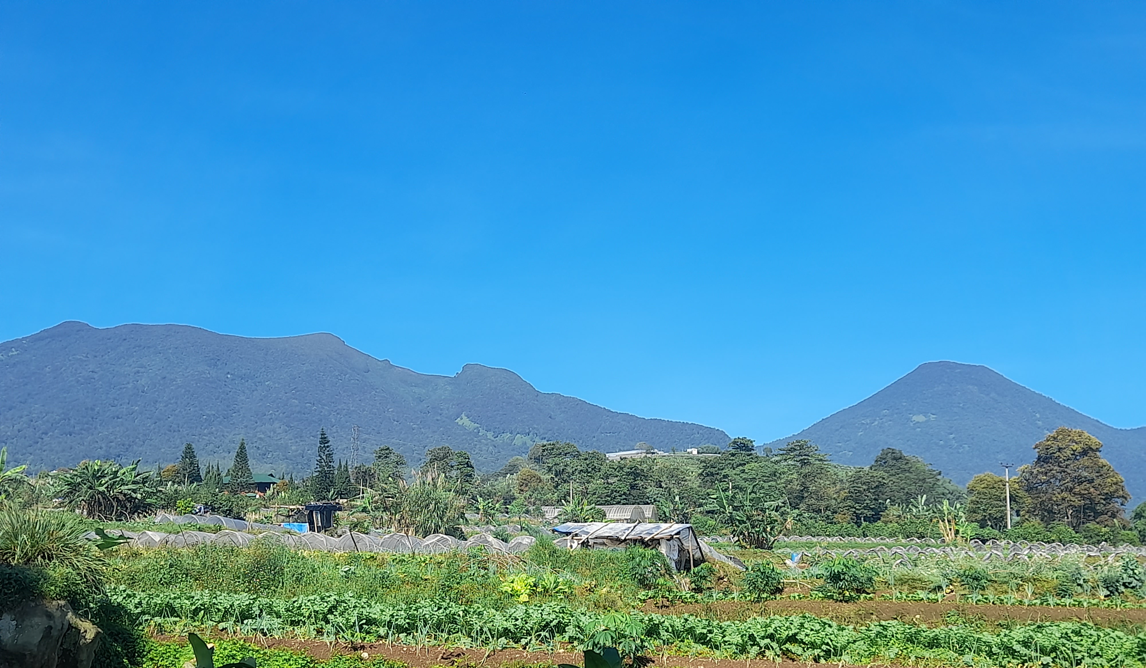 Tumpukan Sampah di Gunung Gede Kian Menggunung, TNGGP Siapkan Tiga Langkah Strategis 