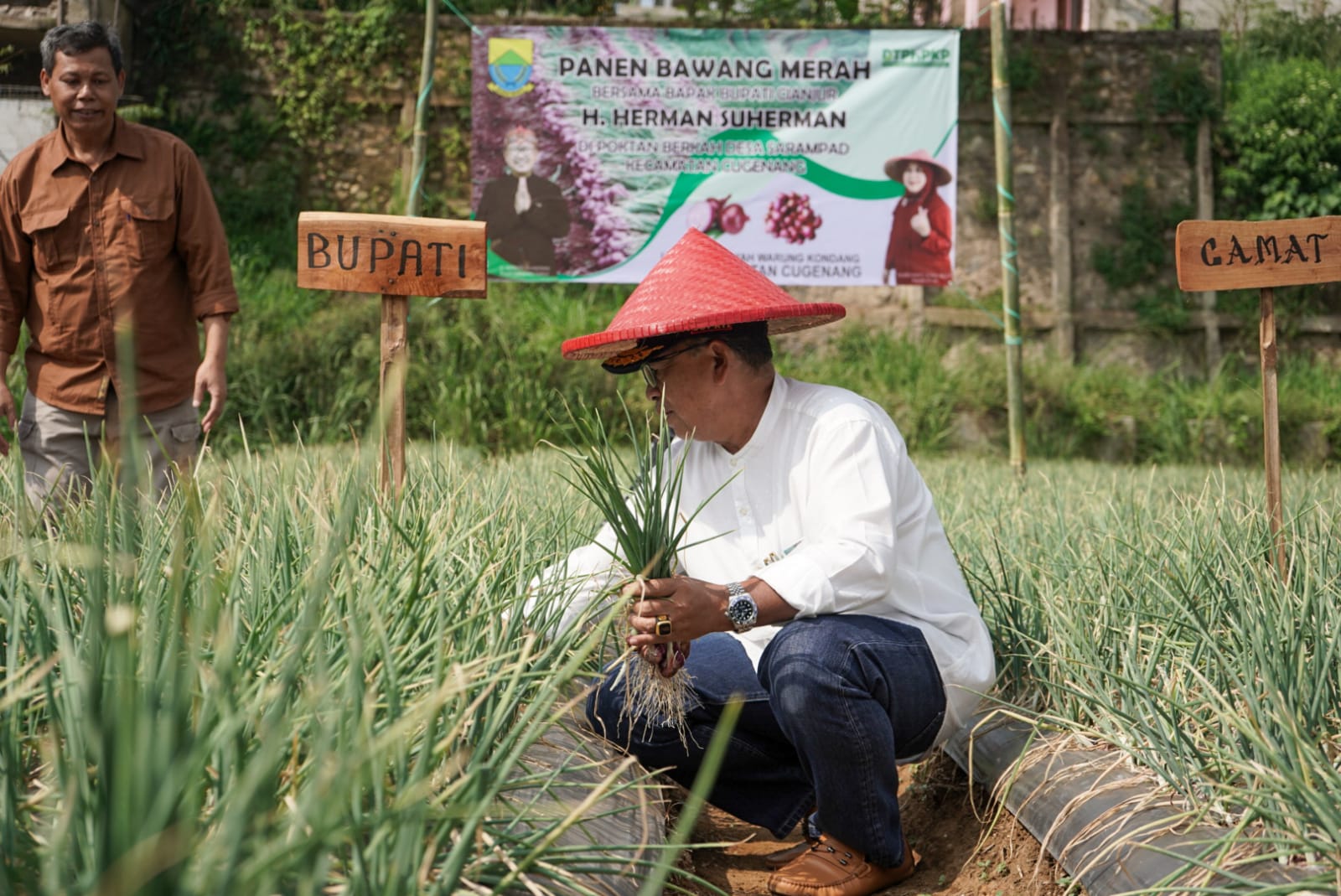 Dorong Petani Tanam Bawang Merah, Bupati Cianjur Siapkan Pelatihan dan Pinjaman Modal Tanpa Bunga