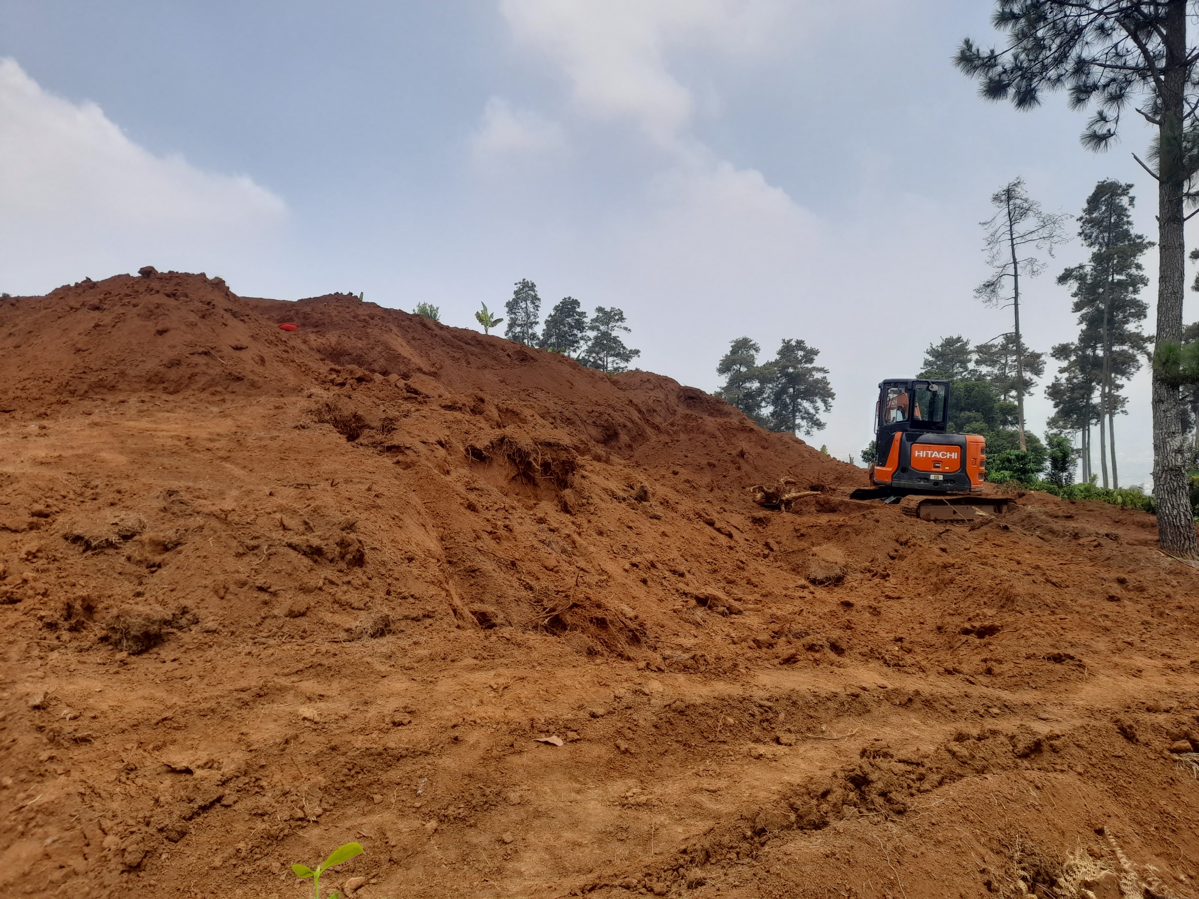 Alih Fungsi Hutan Puncak Simun Cianjur Disorot, Pemanfaatan Perhutanan Sosial Diminta Tak Kebablasan