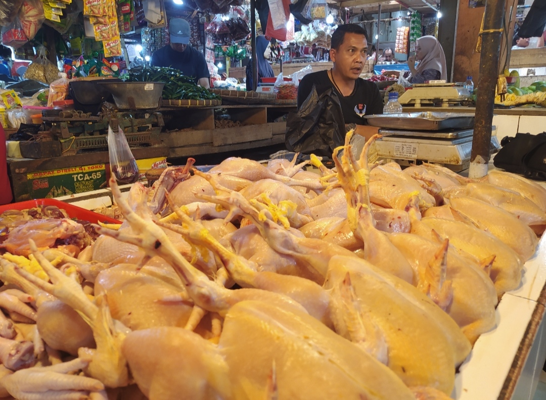 Harga Daging Ayam Potong Tak Stabil, Konsumen Tetap Memburunya
