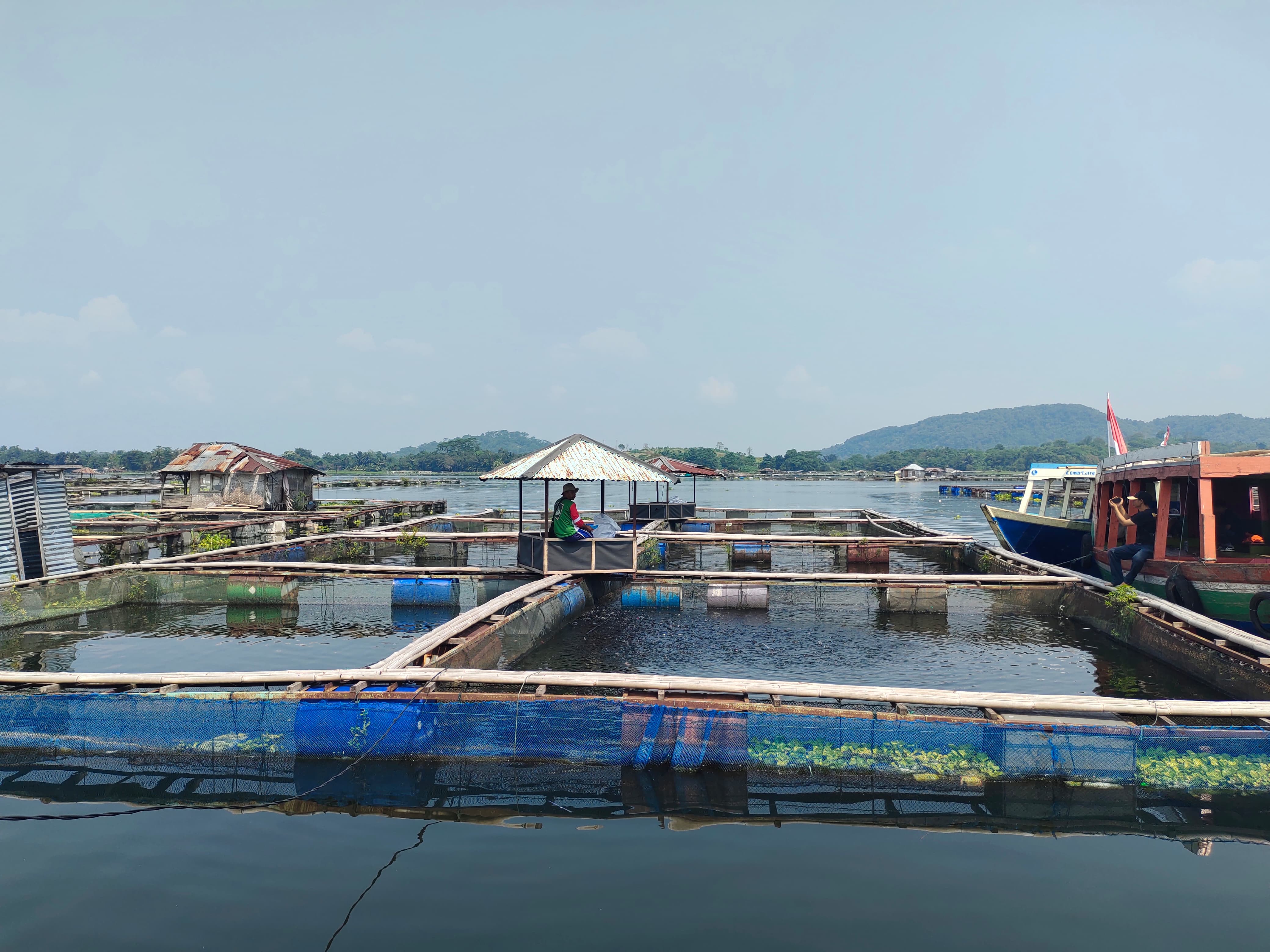 Pernyataan Menteri KKP Sulut Kemarahan Petani Ikan Cirata