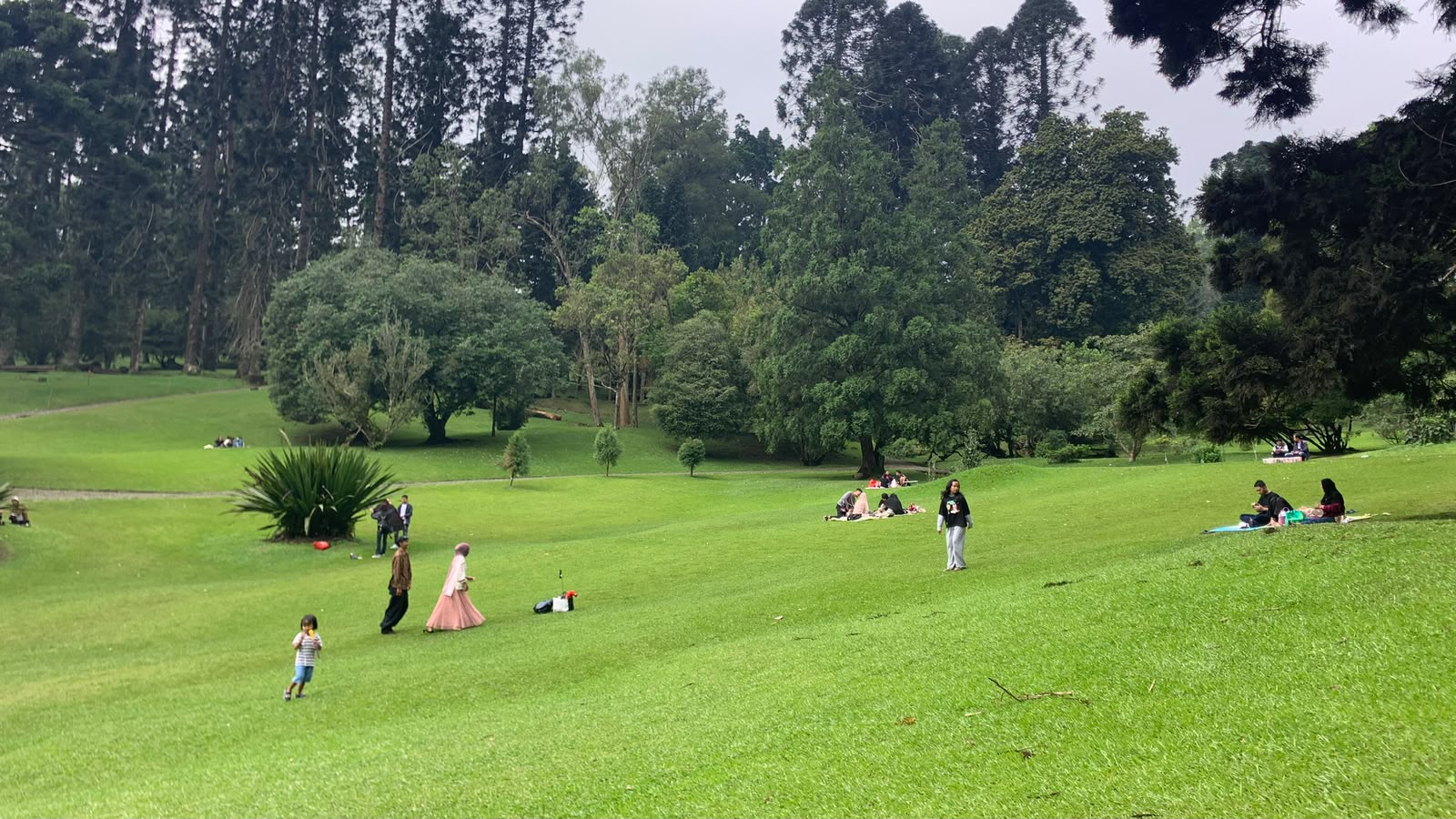 Kunjungan Wisatawan ke Kebun Raya Cibodas Naik 30 Persen Selama Libur Sekolah