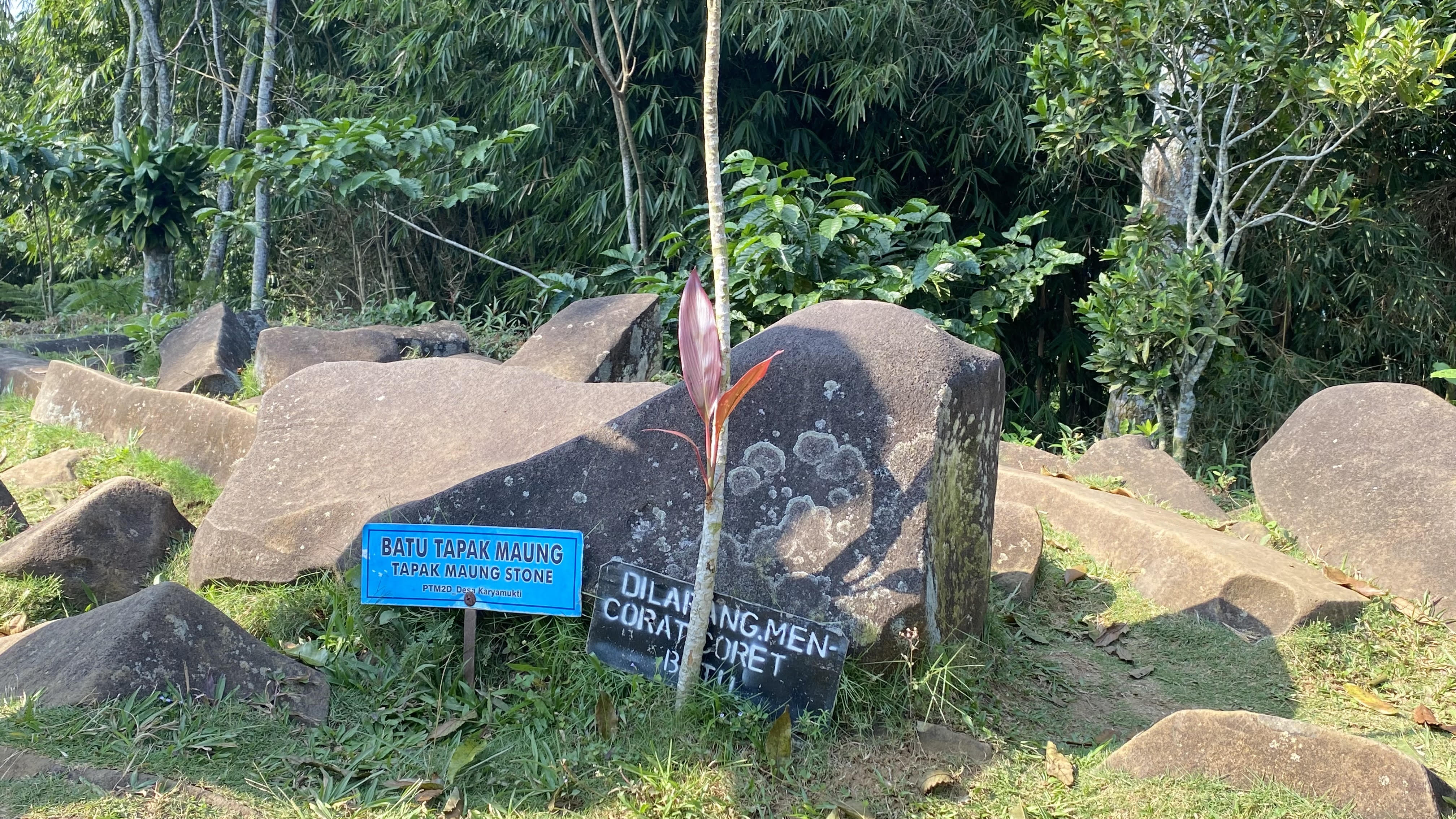 Batu Corak Mirip Tapak Harimau di Gunung Padang Masih Menjadi Teka-Teki Bagi Peniliti