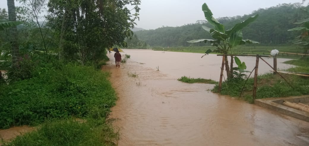 Sungai Ciandam di Mande Cianjur Meluap, Belasan Rumah Warga dan Sawah Terendam  