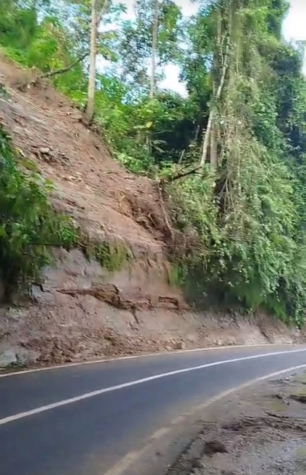 Akses Jalan Cibinong-Sindangbarang Kembali Dibuka Usai Longsor, BPBD Imbau Warga Tetap Waspada