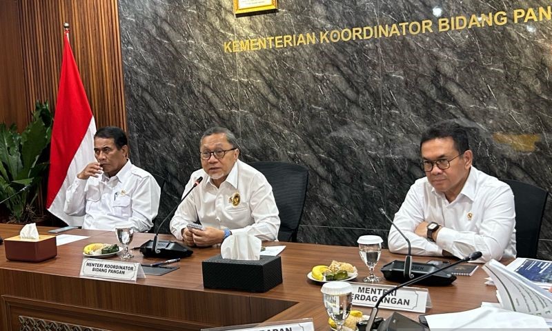 Pemerintah Siap Kirim Bantuan 10 Ribu Ton Beras ke Palestina