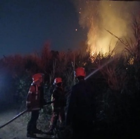 BPBD Cianjur Catat 38 Karhutla Sejak Juli, Satu Warga Meninggal