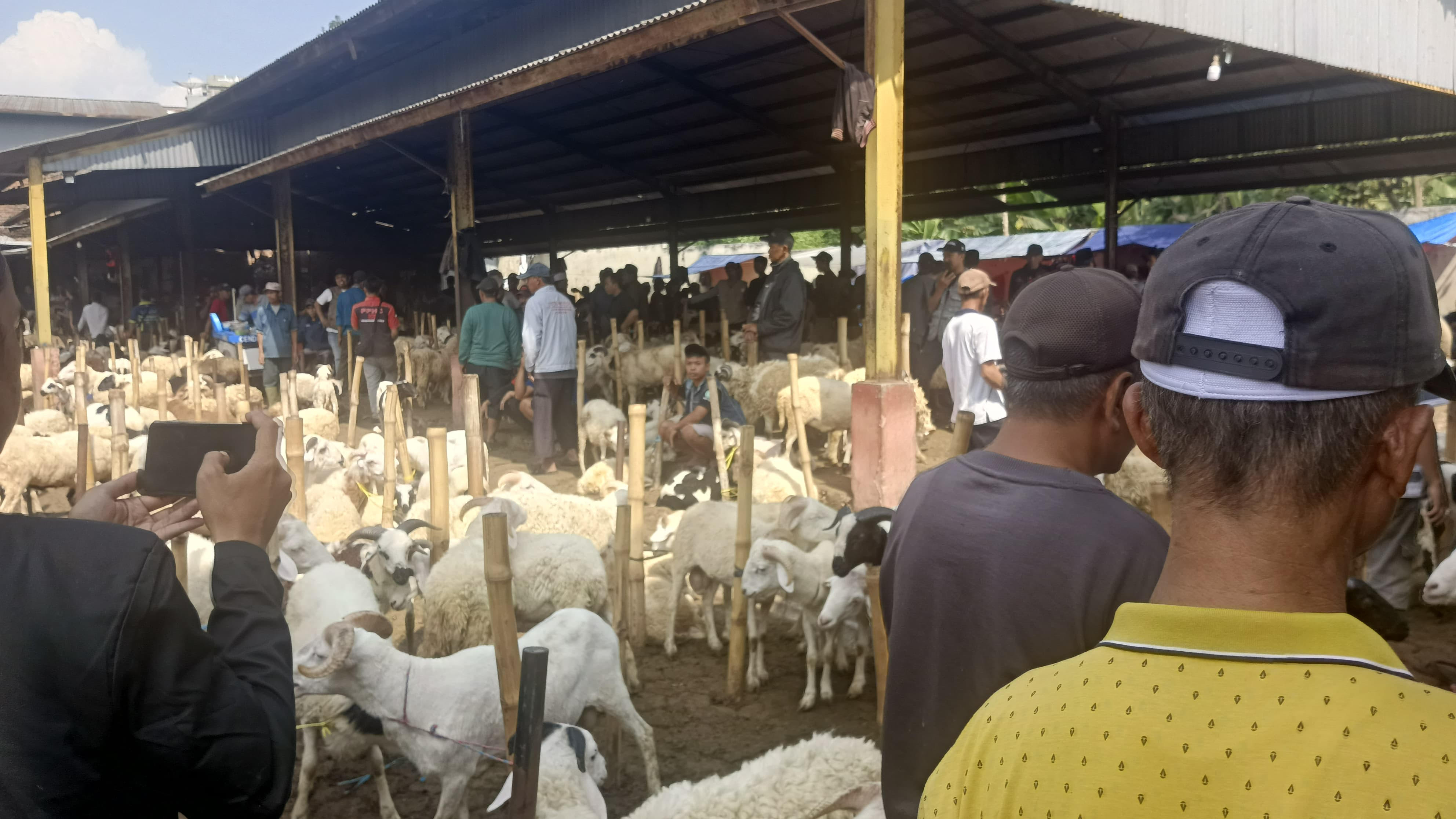 Muncul Wacana Pasar Hewan Baru, Pedagang Cikaret Cianjur Resah