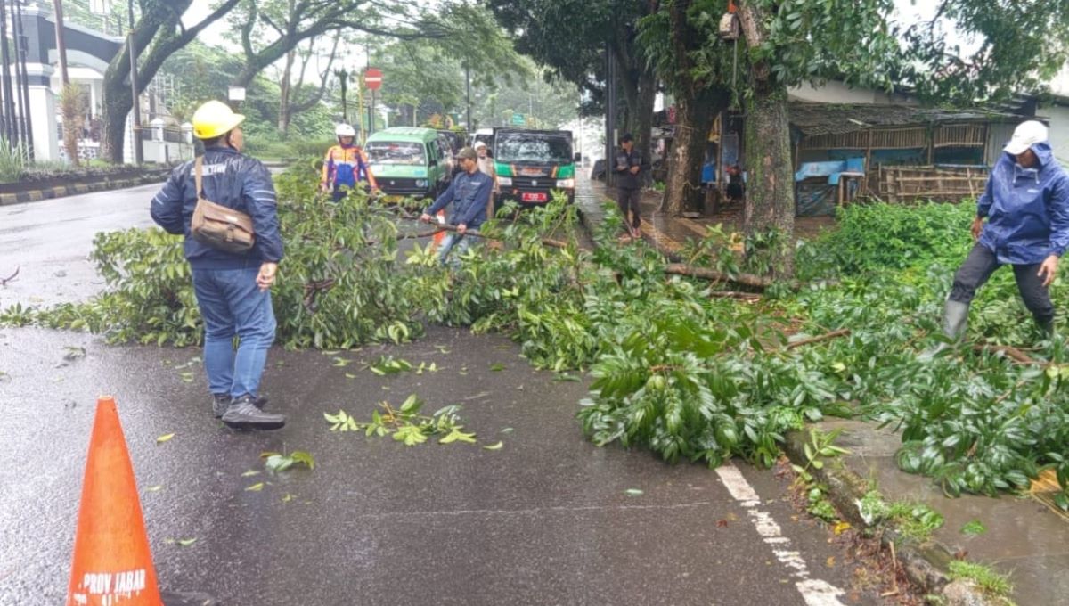 Membahayakan Pengguna Jalan, DLH Cianjur Rapikan Ranting Pohon 