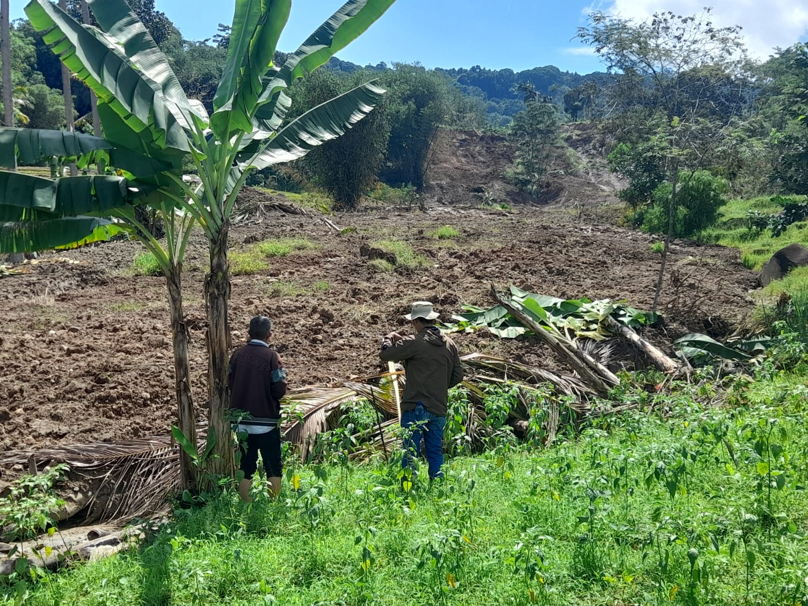 BPBD Cianjur Tunggu Kajian PVMBG Soal Pergerakan Tanah di Cibanteng