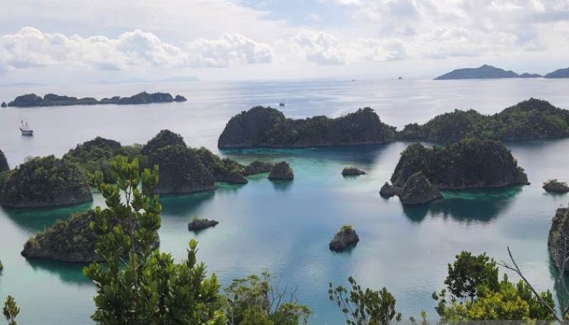 BRIN Usulkan Raja Ampat Sebagai Cagar Biosfer di Bawah MAB UNESCO