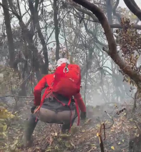 Karhutla Gunung Gede Meluas, 20 Hektar Lahan Terbakar