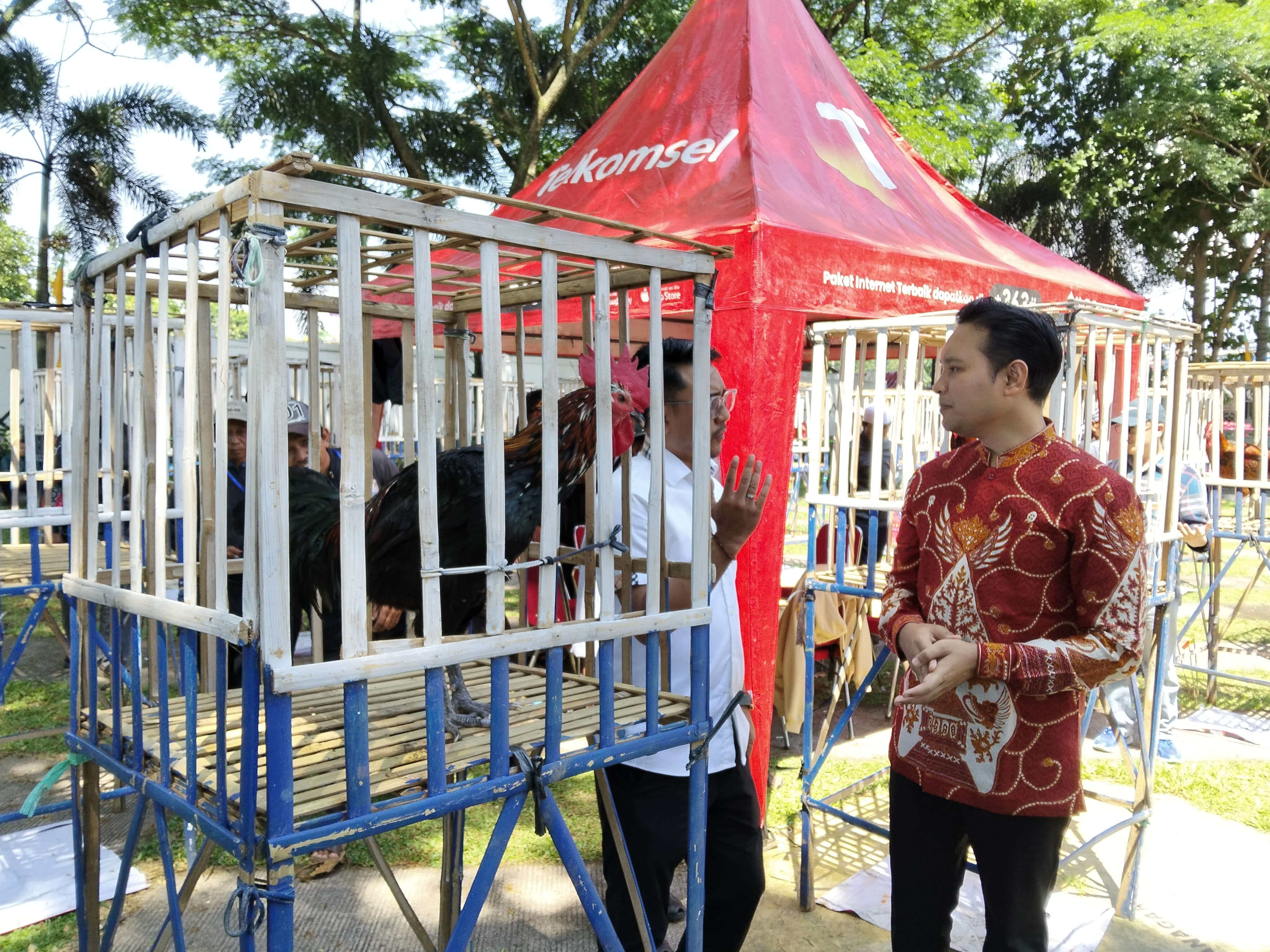 Pemkab Cianjur Gelar Kontes Ayam Pelung Suara Alam Cup ke-20