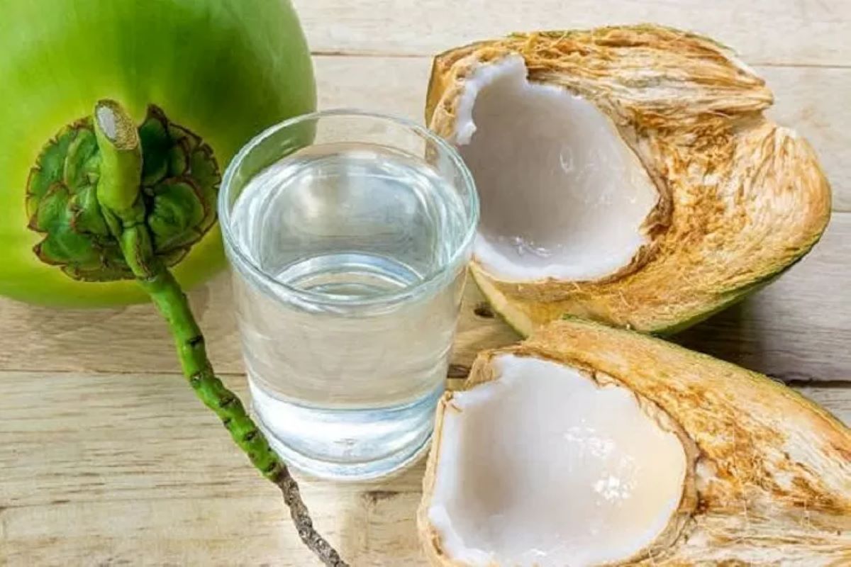Minum Air Kelapa Bisa Mendatangkan Manfaat Bagi Ibu Hamil