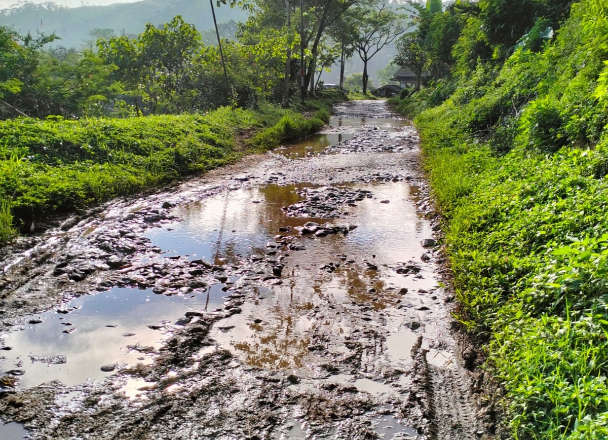 Warga Desa Cisujen Cianjur Minta Jalan Kabupaten Diperbaiki