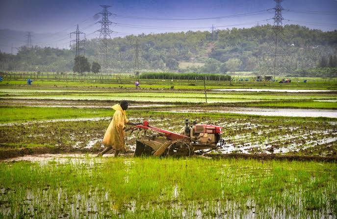 Lahan Pertanian di Kota Sukabumi Berkurang 26 Hektare