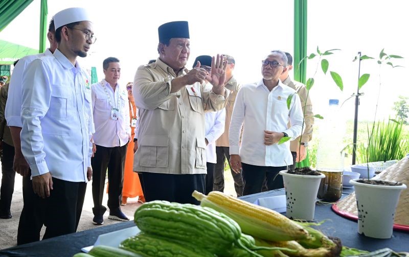 Presiden Hormati Kebijakan Tarif Trump